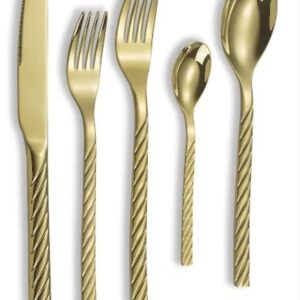 דגם ריגנסי 24 חלקים